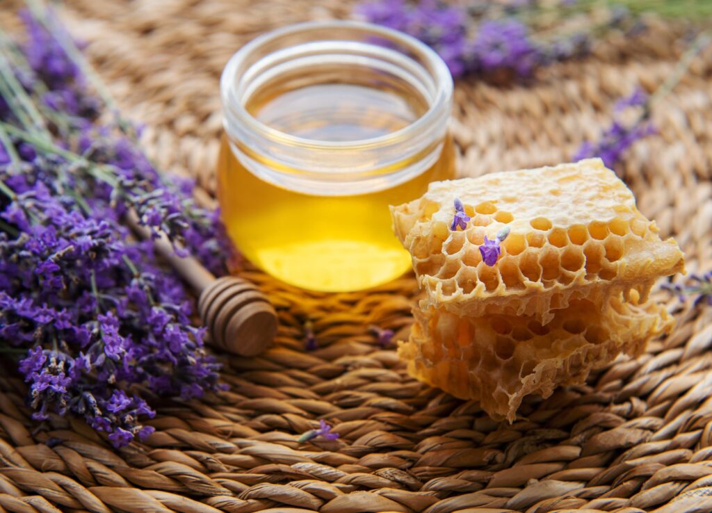 Jar with honey and fresh lavender flowers